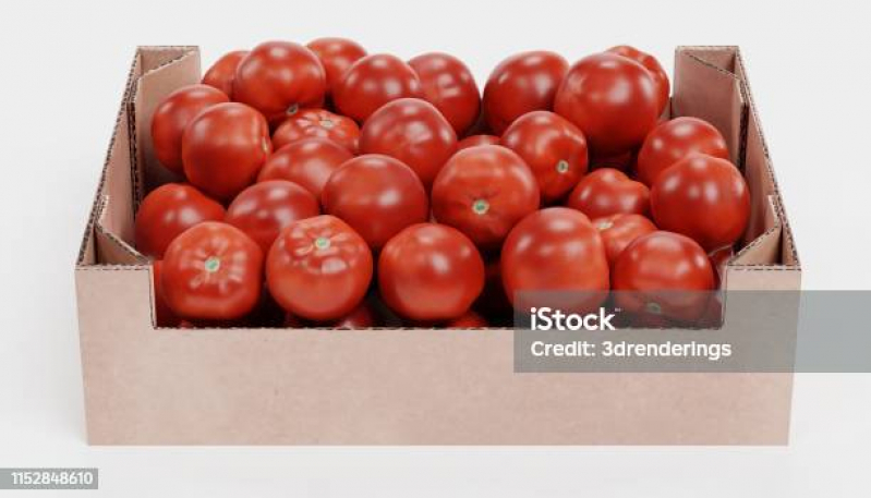 Caixa de Papelão para Tomate Valores Bueno Brandão; - Caixa de Frutas de Papelão