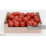caixa de papelão para tomate valores Vila Santa Cruz